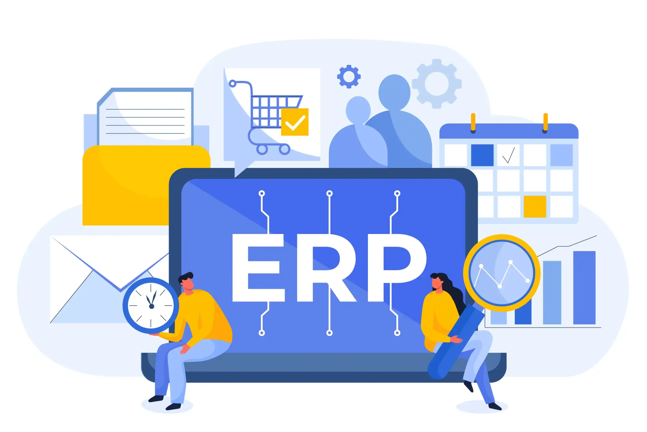 WHAT IS ERP visual data 2