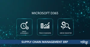 Microsoft D365 ERP solution helping businesses drive efficiency, track margins, and achieve smarter growth.