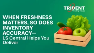 LS Central dashboard showing real-time inventory tracking to ensure product freshness and accurate stock management across retail and distribution.